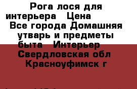 Рога лося для интерьера › Цена ­ 3 300 - Все города Домашняя утварь и предметы быта » Интерьер   . Свердловская обл.,Красноуфимск г.
